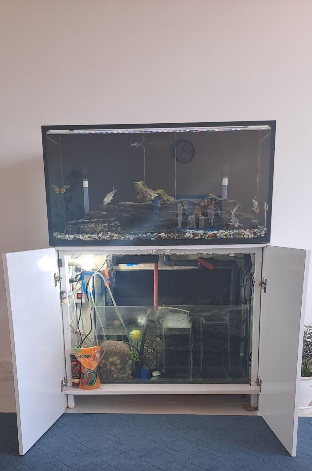 آکواریوم حرفه ای با رآکتور تصفیه آب|ماهی|زرندیه, |دیوار