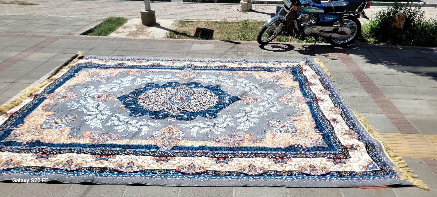 فرش ۱۲ متر طوسی مستعمل|فرش|گلبهار, شهر جدید گلبهار|دیوار
