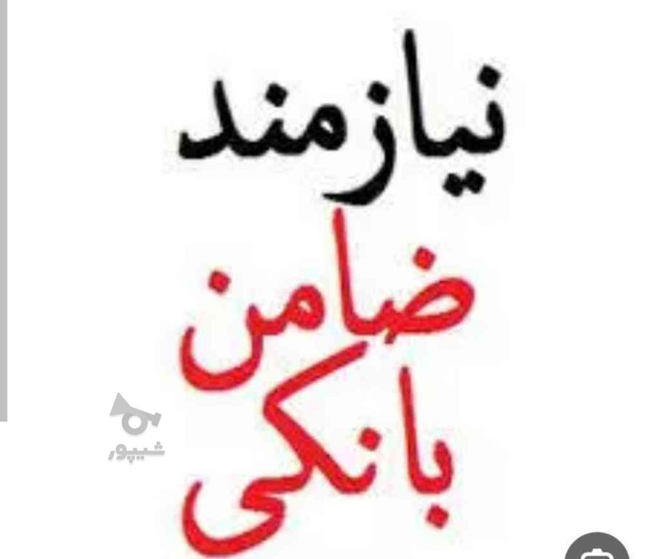 نیازمندضامن‌برای‌وام‌ازدواج|خدمات مالی، حسابداری، بیمه|زابل, |دیوار