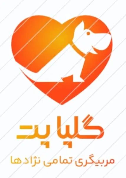 مربی سگ آموزش در محل|خدمات آموزشی|کرج, باغستان|دیوار