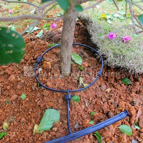 آبیاری قطره ای|خدمات باغبانی و درختکاری|رشت, فرزانه|دیوار