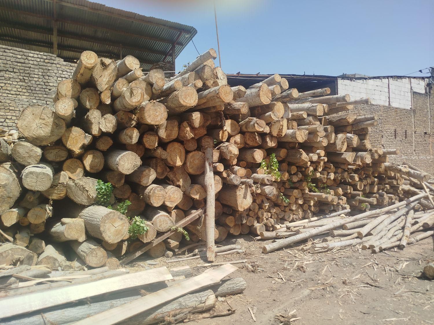 چوب اسلپی گردو و چنار|مصالح و تجهیزات ساختمان|مشهد, کشاورز|دیوار