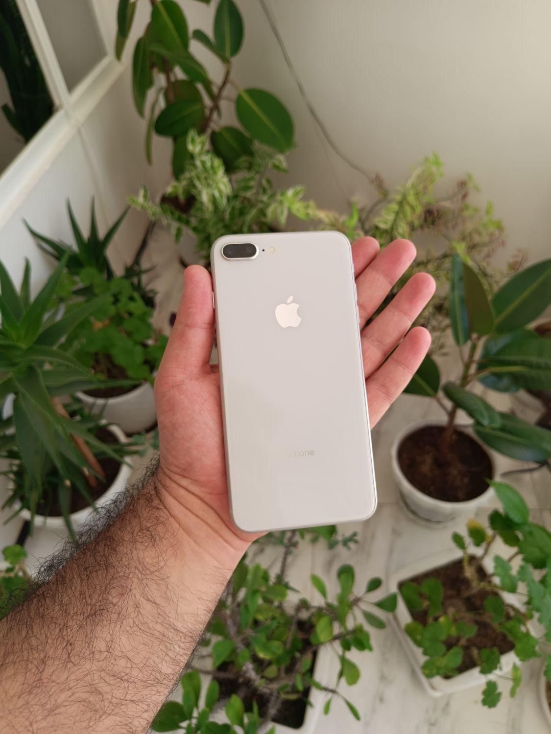 اپل iPhone 8 Plus با حافظهٔ ۶۴ گیگابایت|موبایل|تبریز, |دیوار