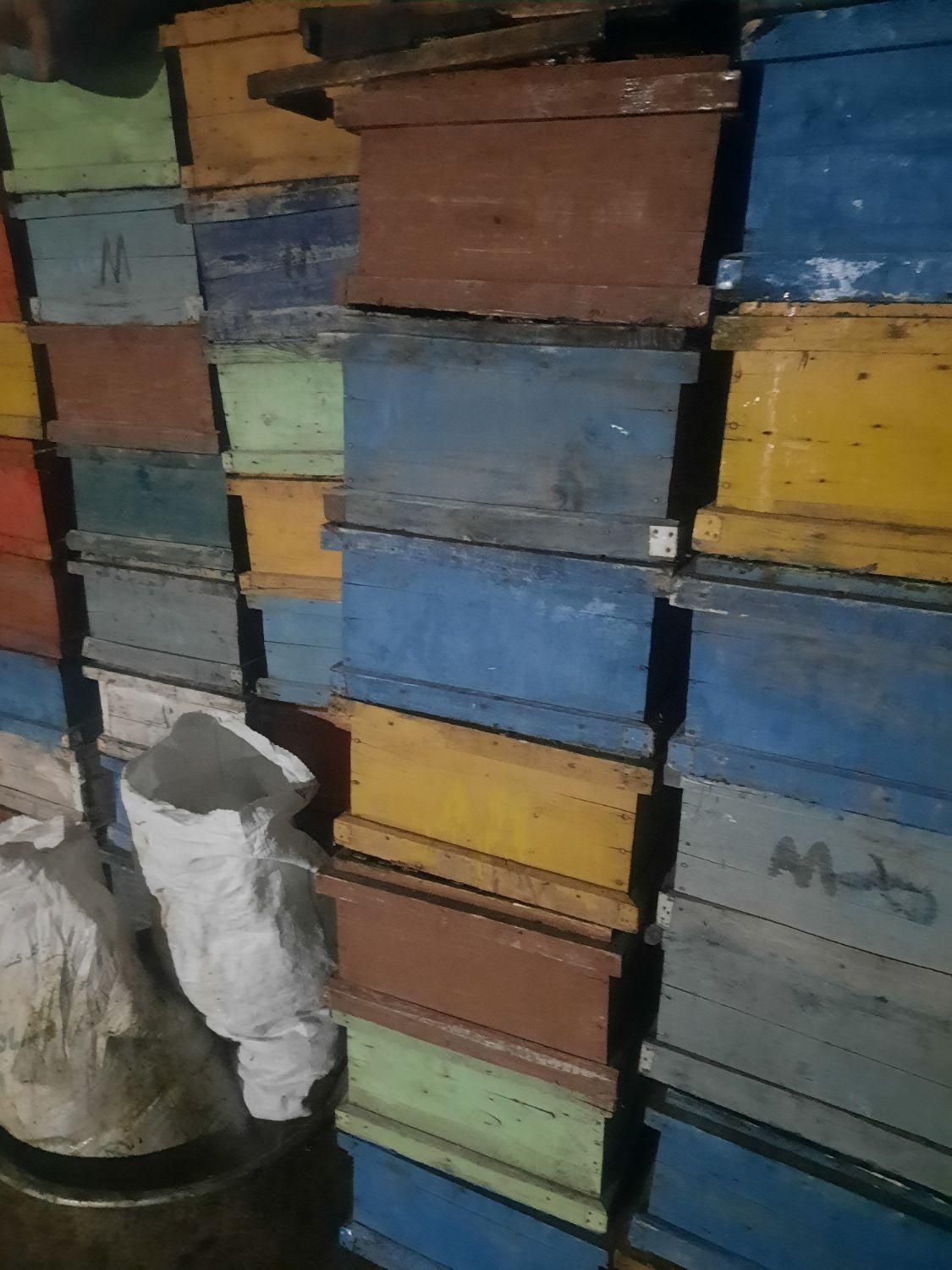 مقداری بدنه ونیم طبق وکندوی خالیه زنبور عسل|حیوانات مزرعه|خوی, |دیوار