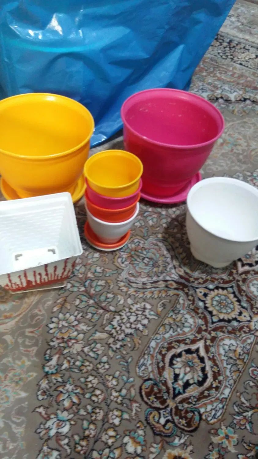 گلدان رنگی|گل و گیاه طبیعی|تهران, خانی آباد نو جنوبی|دیوار