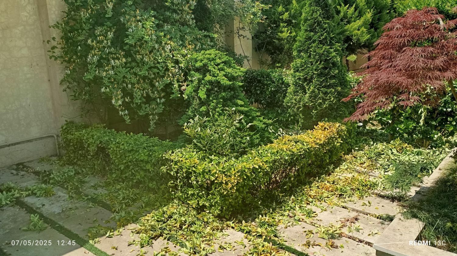 باغبانی|خدمات باغبانی و درختکاری|کرمانشاه, |دیوار