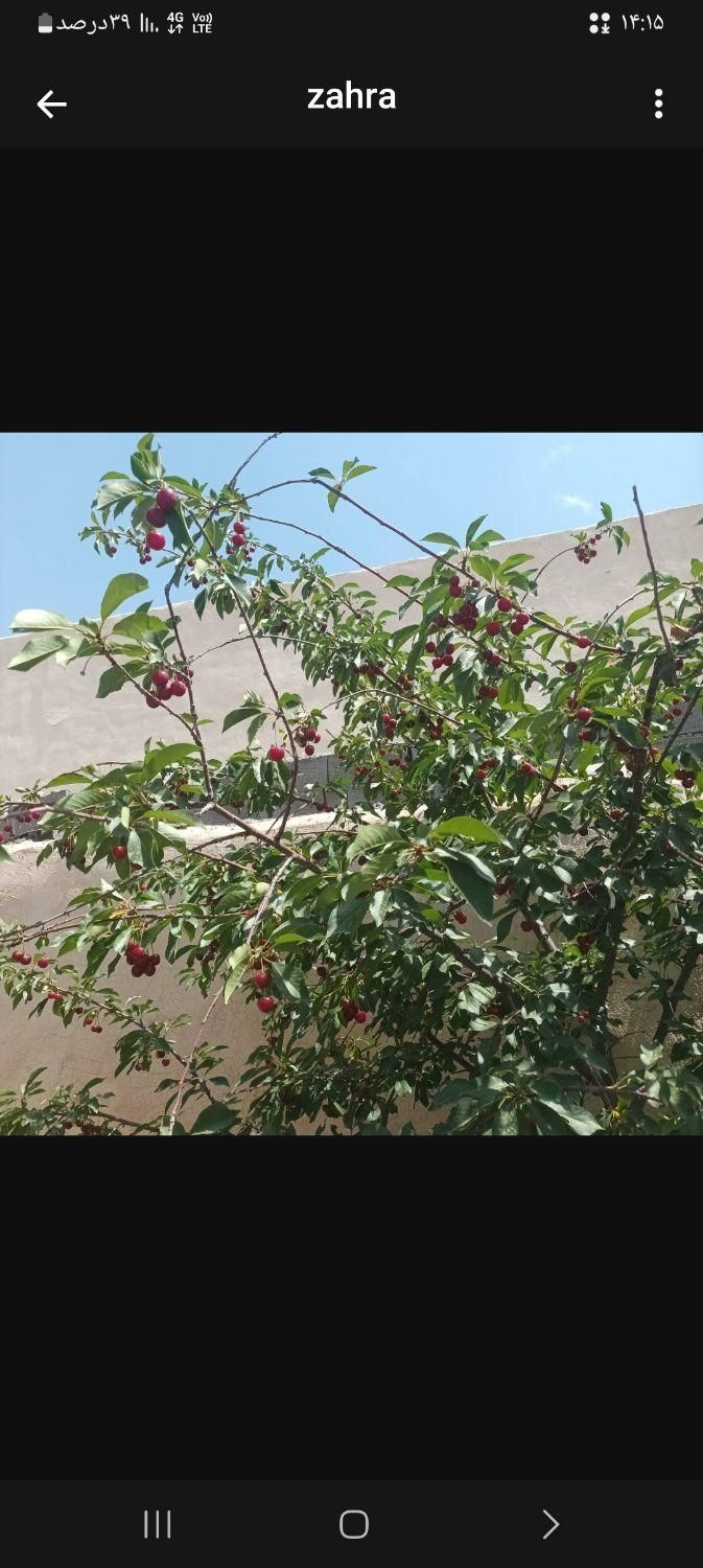 باغ چهار دیواری ،در دماوند، وادان|فروش خانه و ویلا|آبسرد, |دیوار