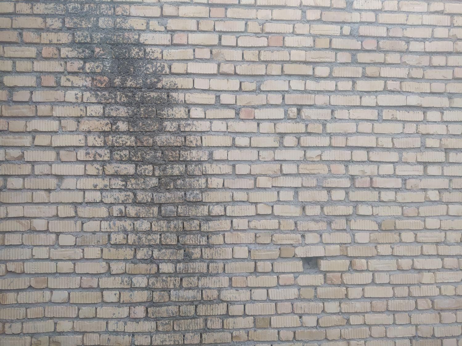 بنا|خدمات پیشه و مهارت|یاسوج, |دیوار