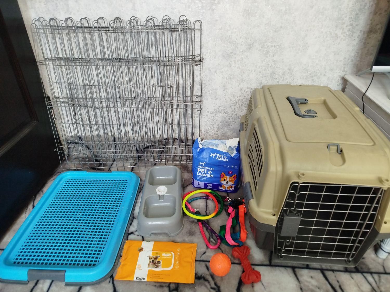 لوازم سگ|لوازم جانبی حیوانات|سهند, |دیوار