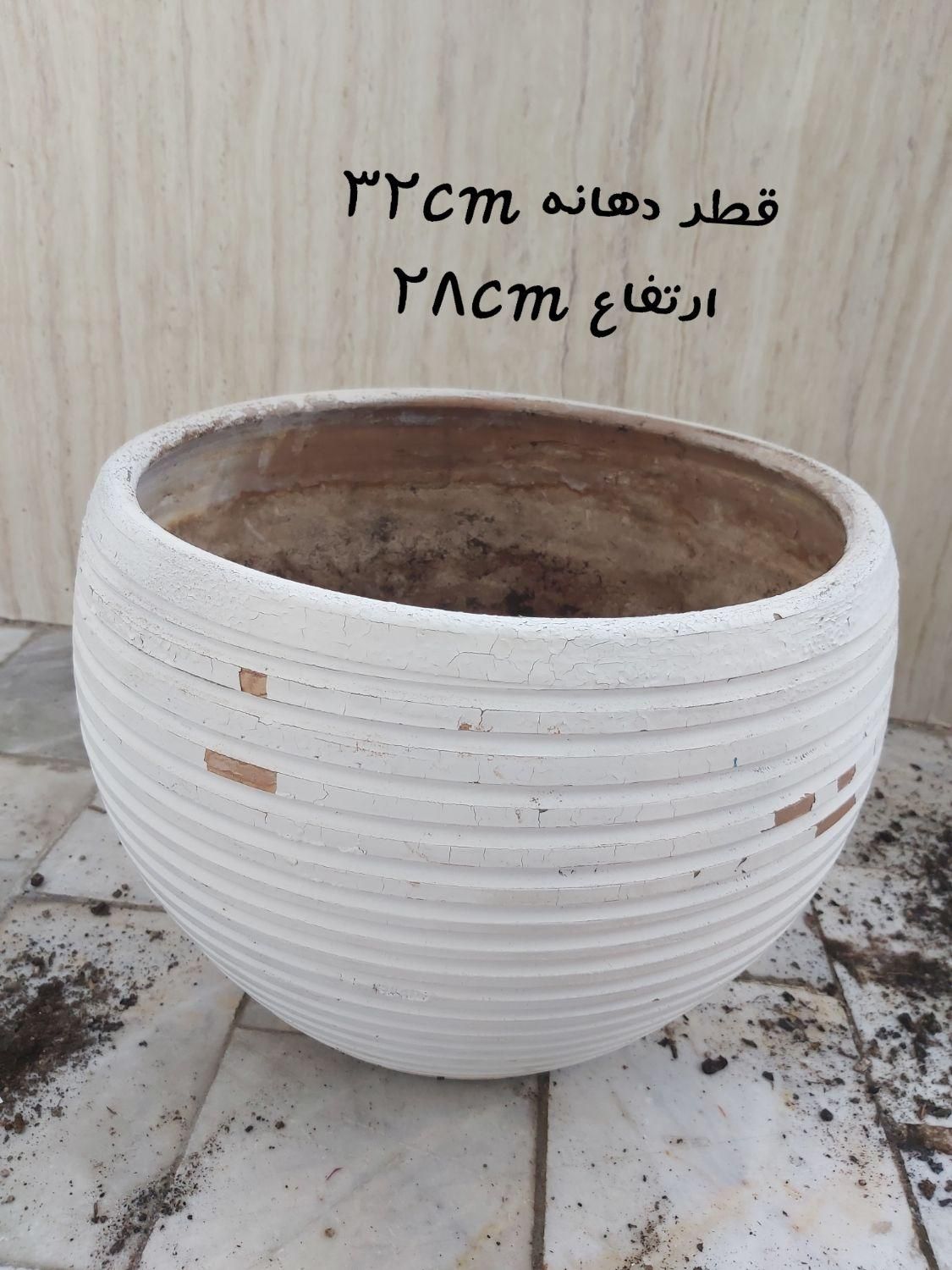 گلدان سفالی|گل و گیاه طبیعی|تهران, شهرک شهید باقری|دیوار