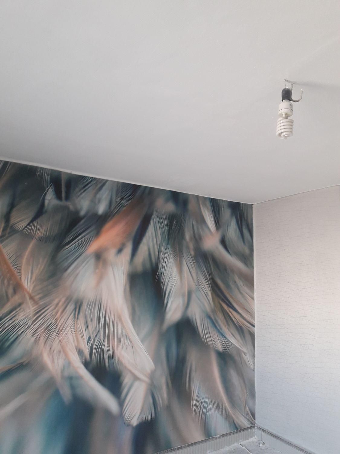 کاغذدیواری وپوستر۳بعدی قابل شستشو|خدمات پیشه و مهارت|اندیمشک, |دیوار