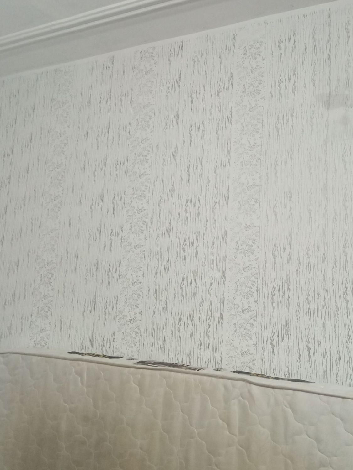 نقاشی به سبک کاغذدیواری|خدمات پیشه و مهارت|ساوه, |دیوار