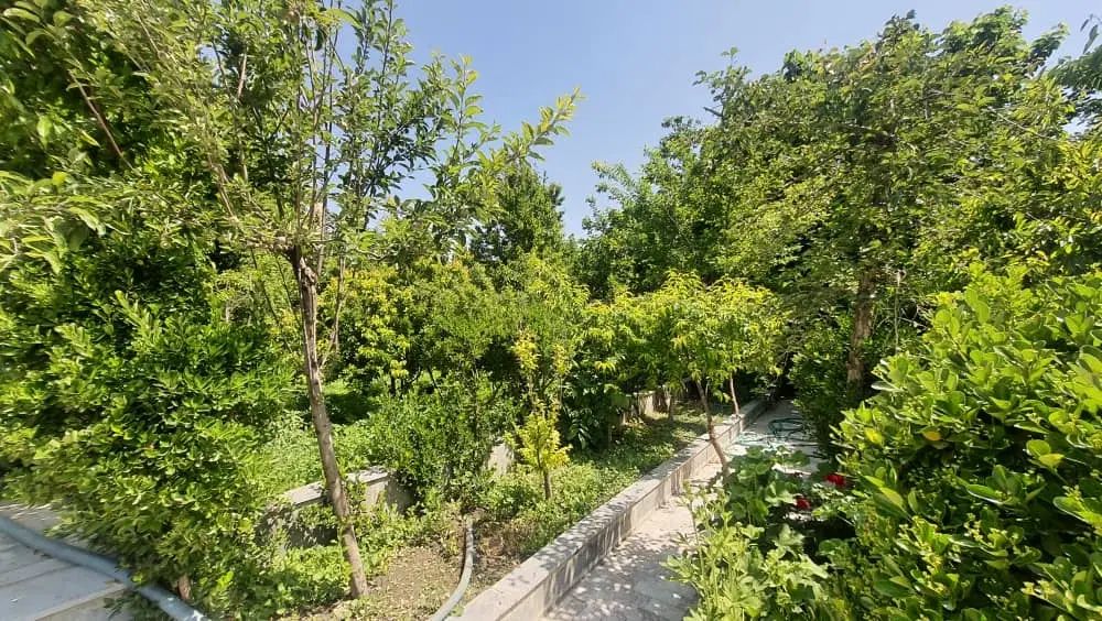 ۱۲۰۰مترجنوبی‌/بر۲۵/متوسط گونه‌دو|فروش زمین و ملک کلنگی|مشهد, هفت تیر (آب و برق)|دیوار