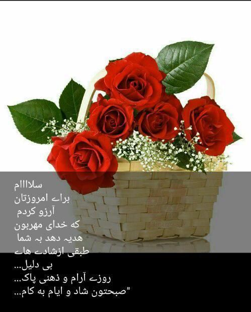 تور گردشگری وسیاحتی شاد شمال گردی بابلسر وگیلان|تور و چارتر|مشهد, رضاشهر|دیوار
