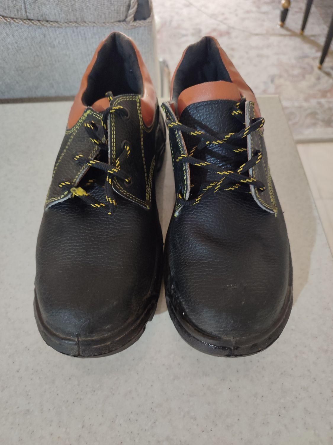 کفش کار|کیف، کفش، کمربند|چهارباغ, |دیوار