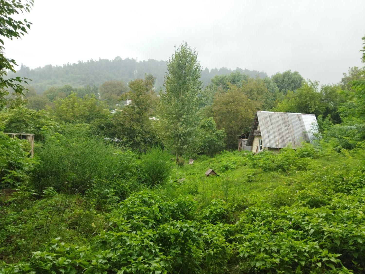 ویلا سوئیسی روستای حلیمه جان، اجاره روزانه|اجارهٔ کوتاهمدت ویلا و باغ|توتکابن, |دیوار