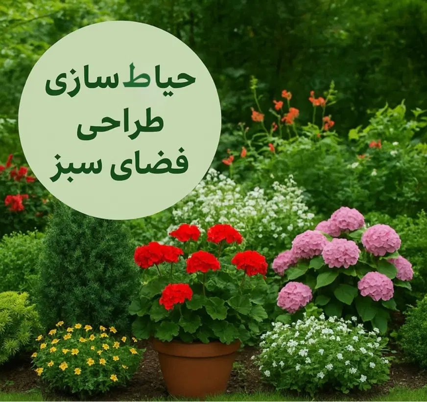 حیاط سازی و فضای سبز و فروش انواع نهال ها|خدمات باغبانی و درختکاری|چالوس, |دیوار