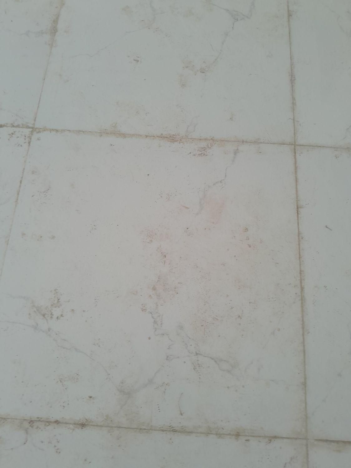 نظافت منزل واحدهای اداری وتجاری|خدمات نظافت|لاهیجان, امیرشهید|دیوار