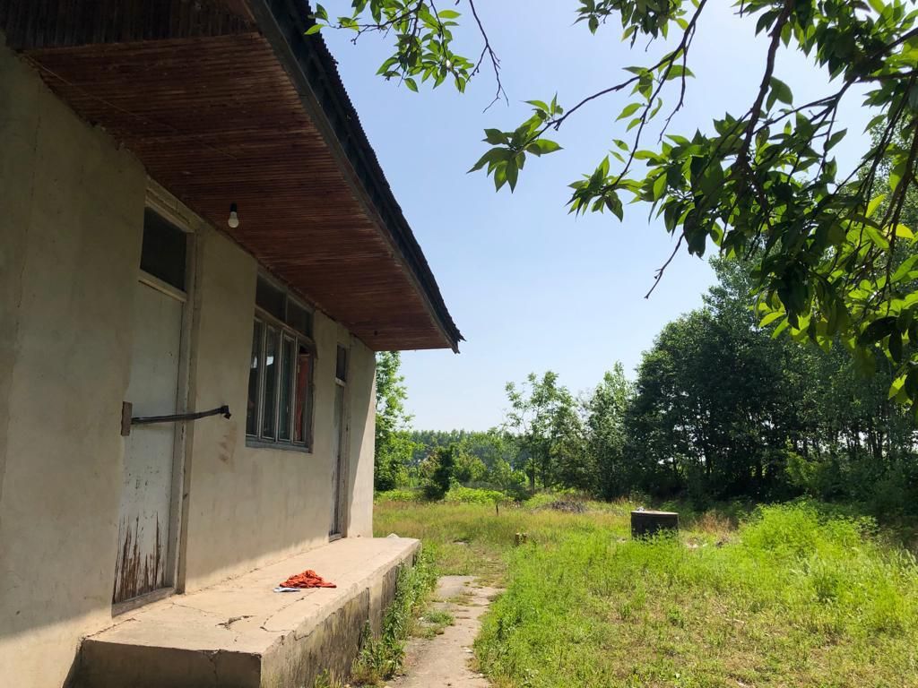 اجاره خانه کلنگی غیر مسکونیبرای گلخانه ۱۵۵۰|اجارهٔ خانه و ویلا|خمام, |دیوار