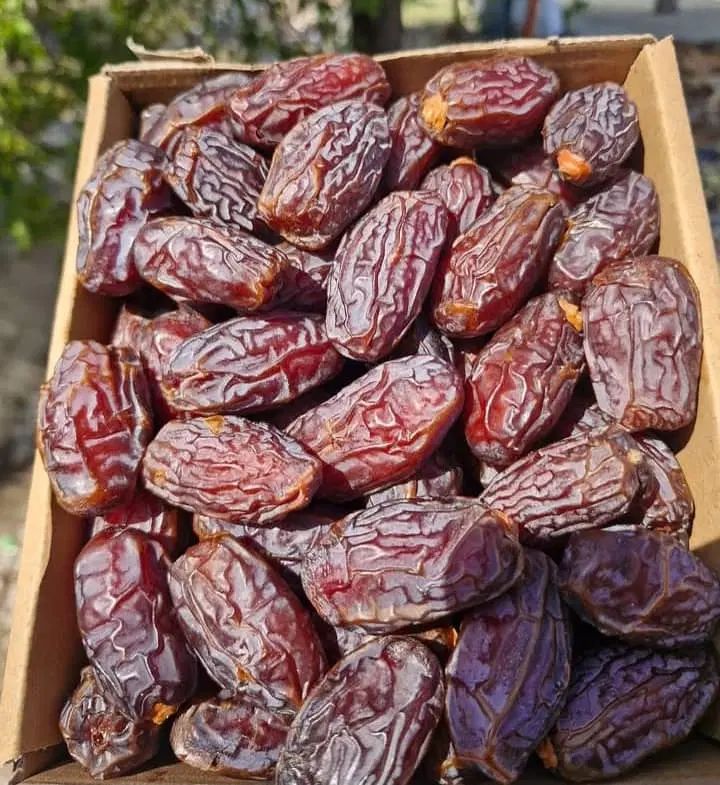 خرمای پیارم و مجول مستقیم از نخلستان|عمده‌فروشی|تهران, آشتیانی|دیوار