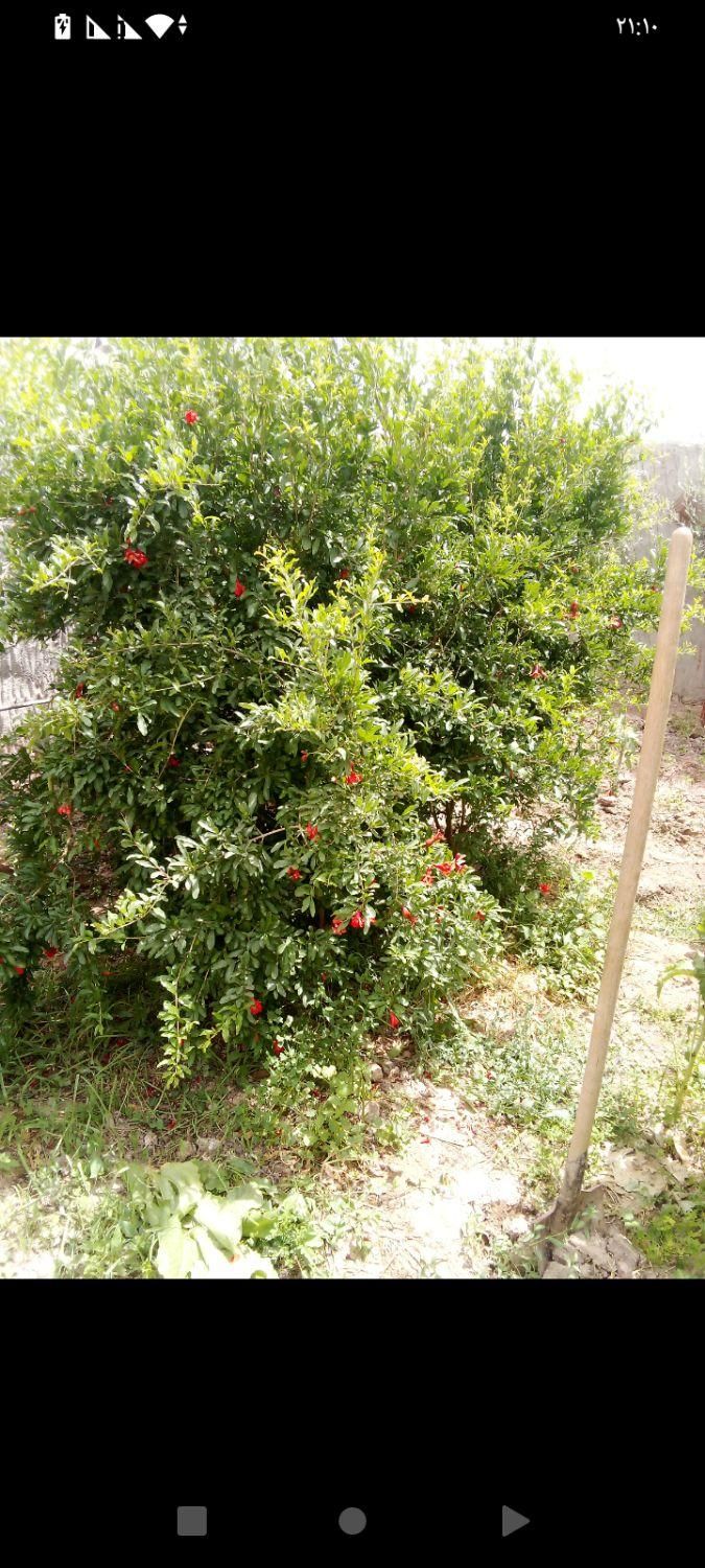 خانه ویلایی روستای داورآباد|فروش خانه و ویلا|گرمسار, |دیوار