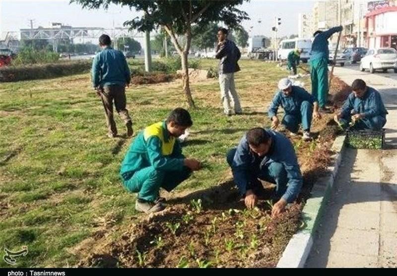 باغبان،باغبانی حرفه‌ای|خدمات باغبانی و درختکاری|قم, عمار یاسر|دیوار