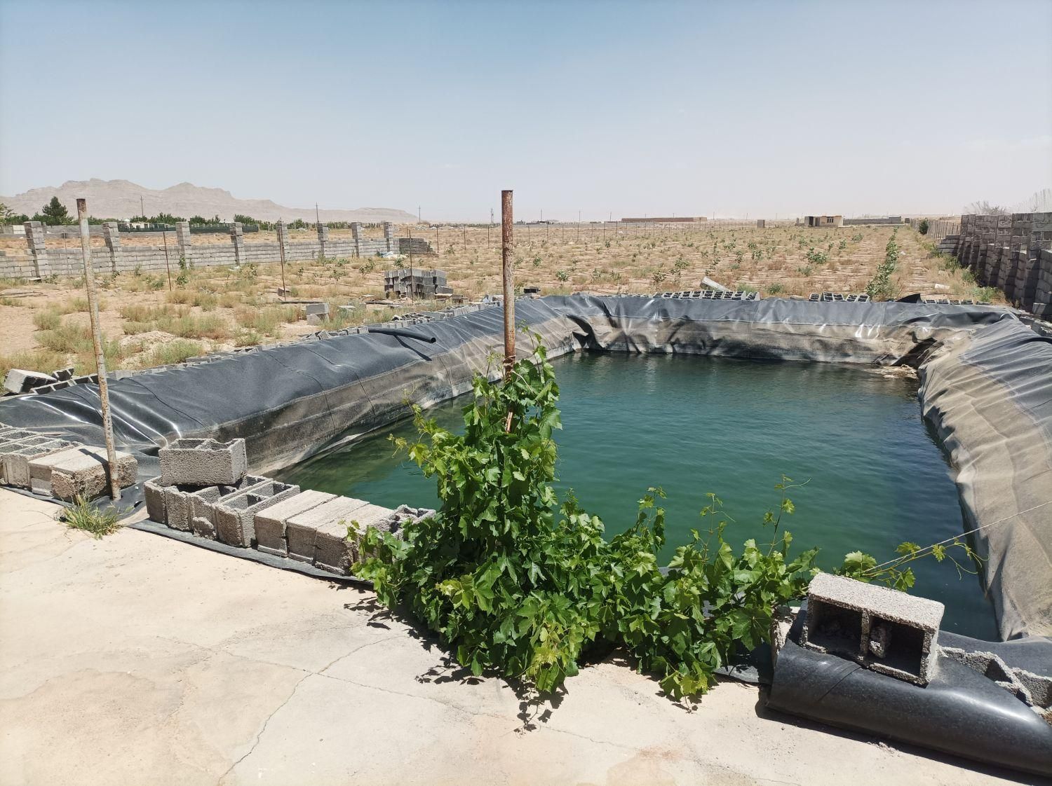 فروش زمین باغی|فروش زمین و ملک کلنگی|شاهین‌شهر, فرودگاه هسا|دیوار