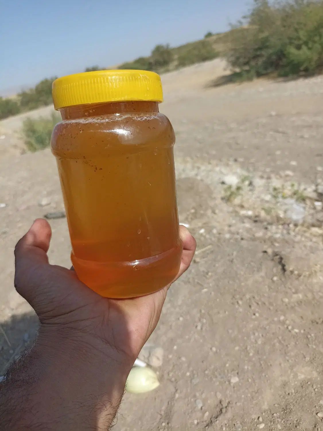 عسل گون بشرط ازمایش ساکاروز2 بشرط  برا مریضی های|خوردنی و آشامیدنی|ازنا, |دیوار