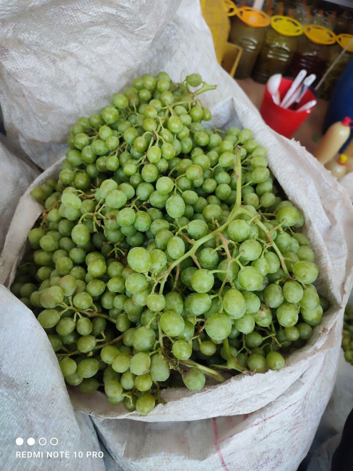 آبغوره بش(غوره دشمن زیاری)|خوردنی و آشامیدنی|شیراز, کوی زهرا|دیوار