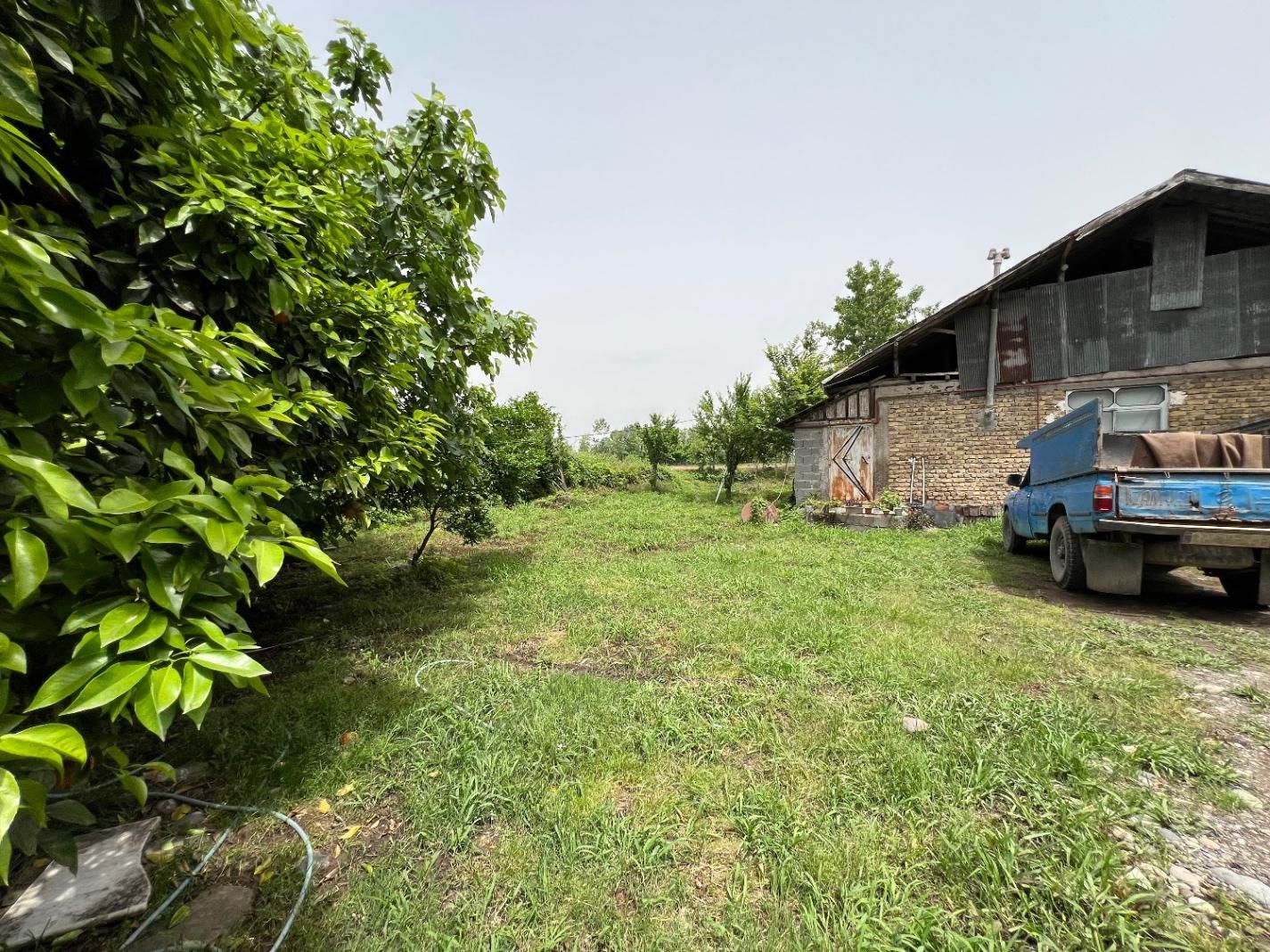 گیلان رشت سنگر ویلا باغ|فروش خانه و ویلا|سنگر, |دیوار