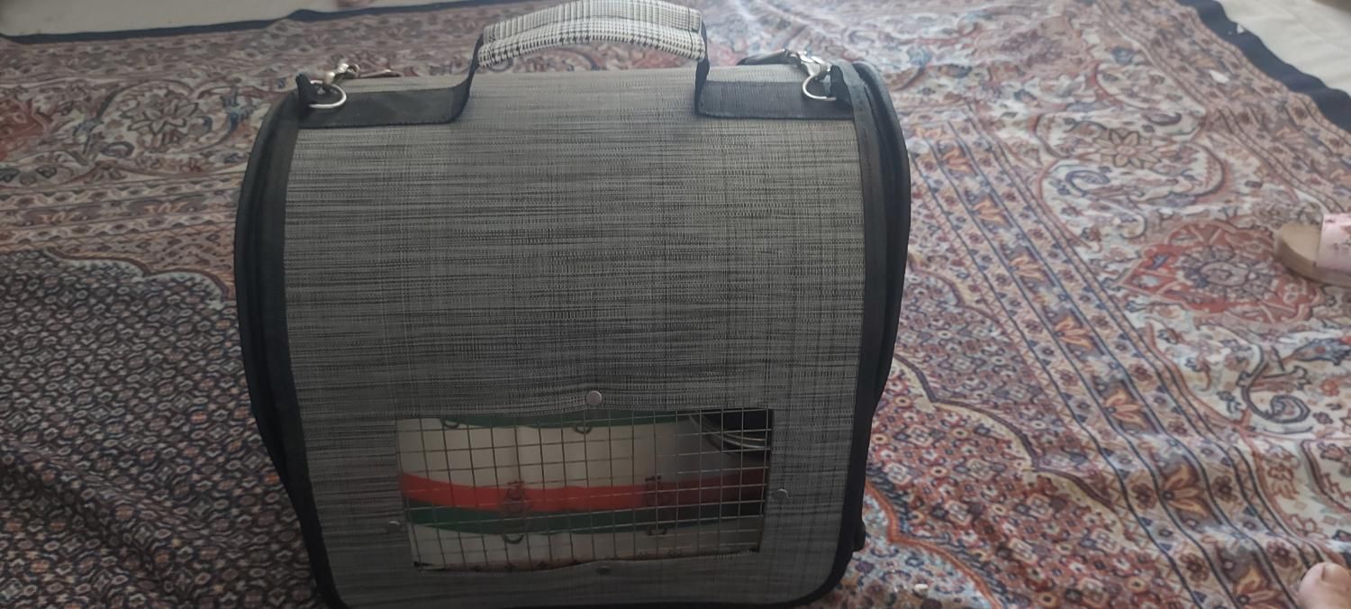 کیف حمل عروس هلندی|لوازم جانبی حیوانات|تهران, دریان‌نو|دیوار