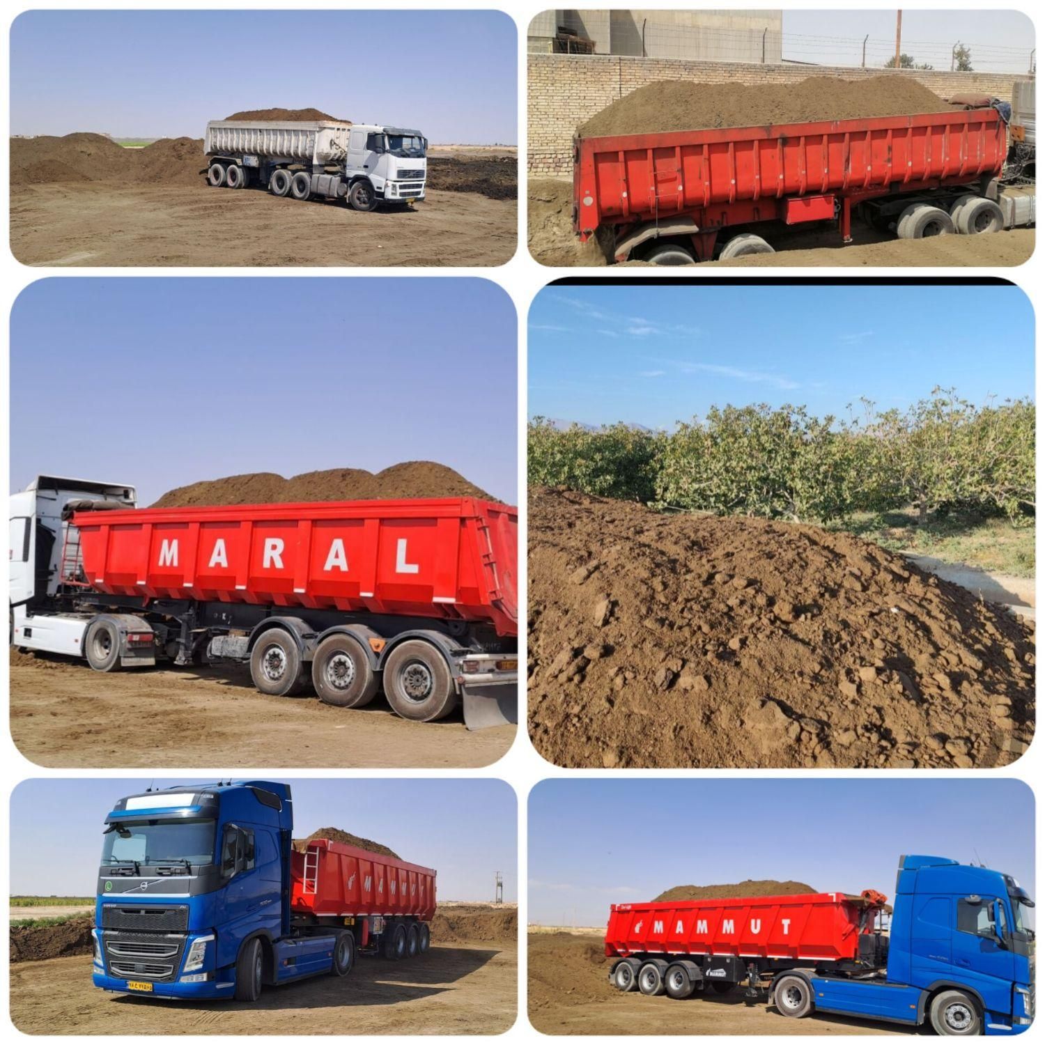 چابهار کود زراباد سیستان باغات|خدمات باغبانی و درختکاری|چابهار, |دیوار