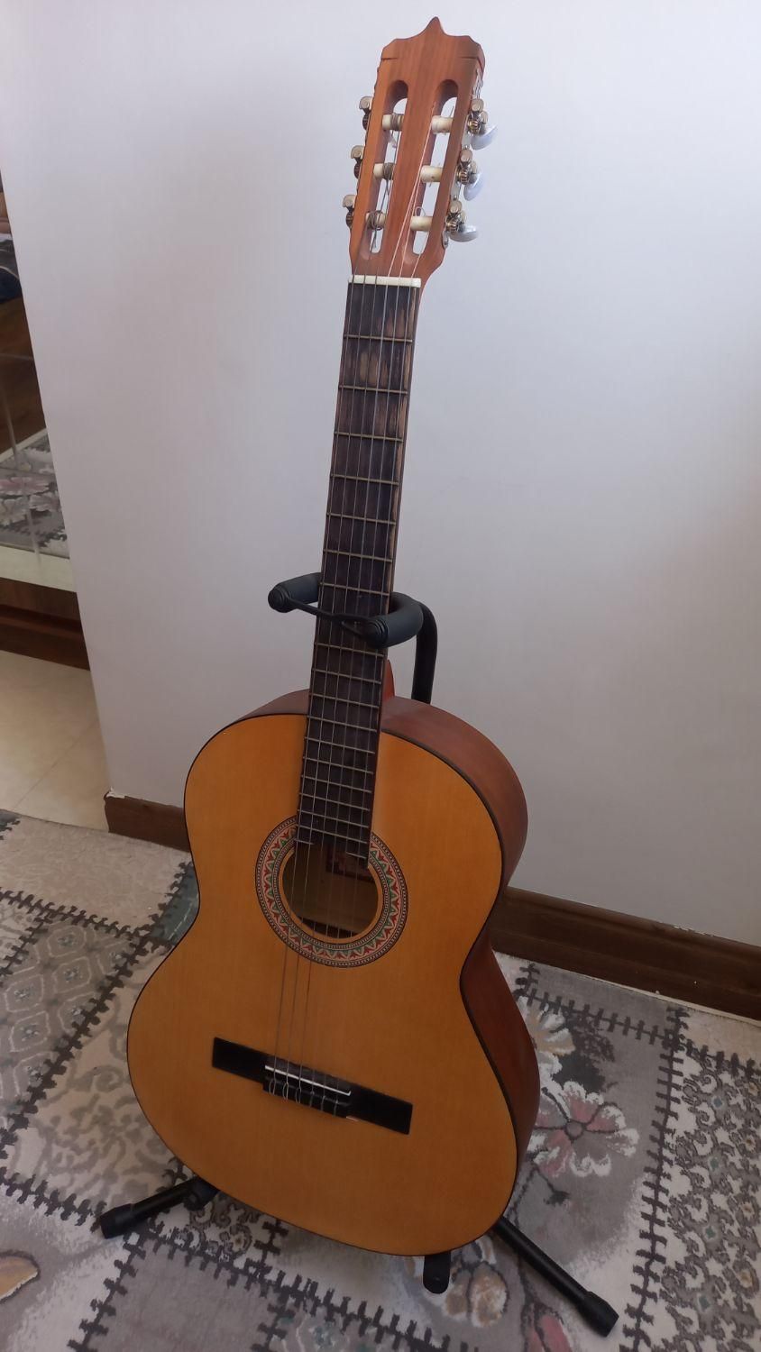 گیتار|گیتار، بیس، امپلیفایر|رودهن, |دیوار