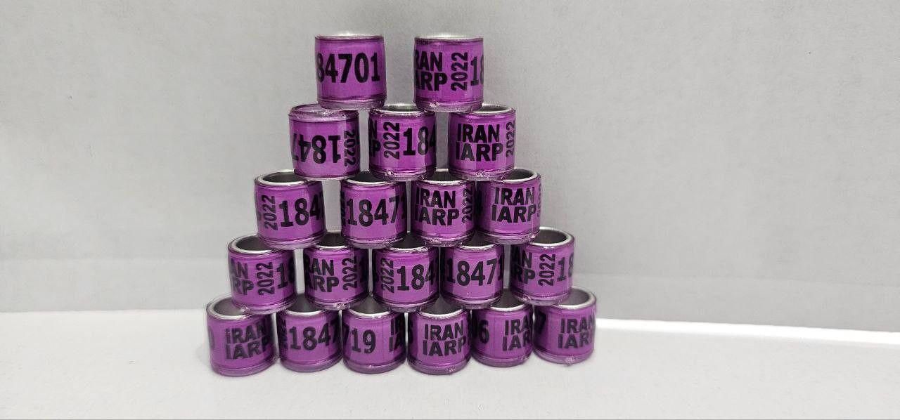 ۱۱پلاک کبوتر برای انواع کبوتر یازدهم...|لوازم جانبی حیوانات|رشت, سعدی (تختی)|دیوار