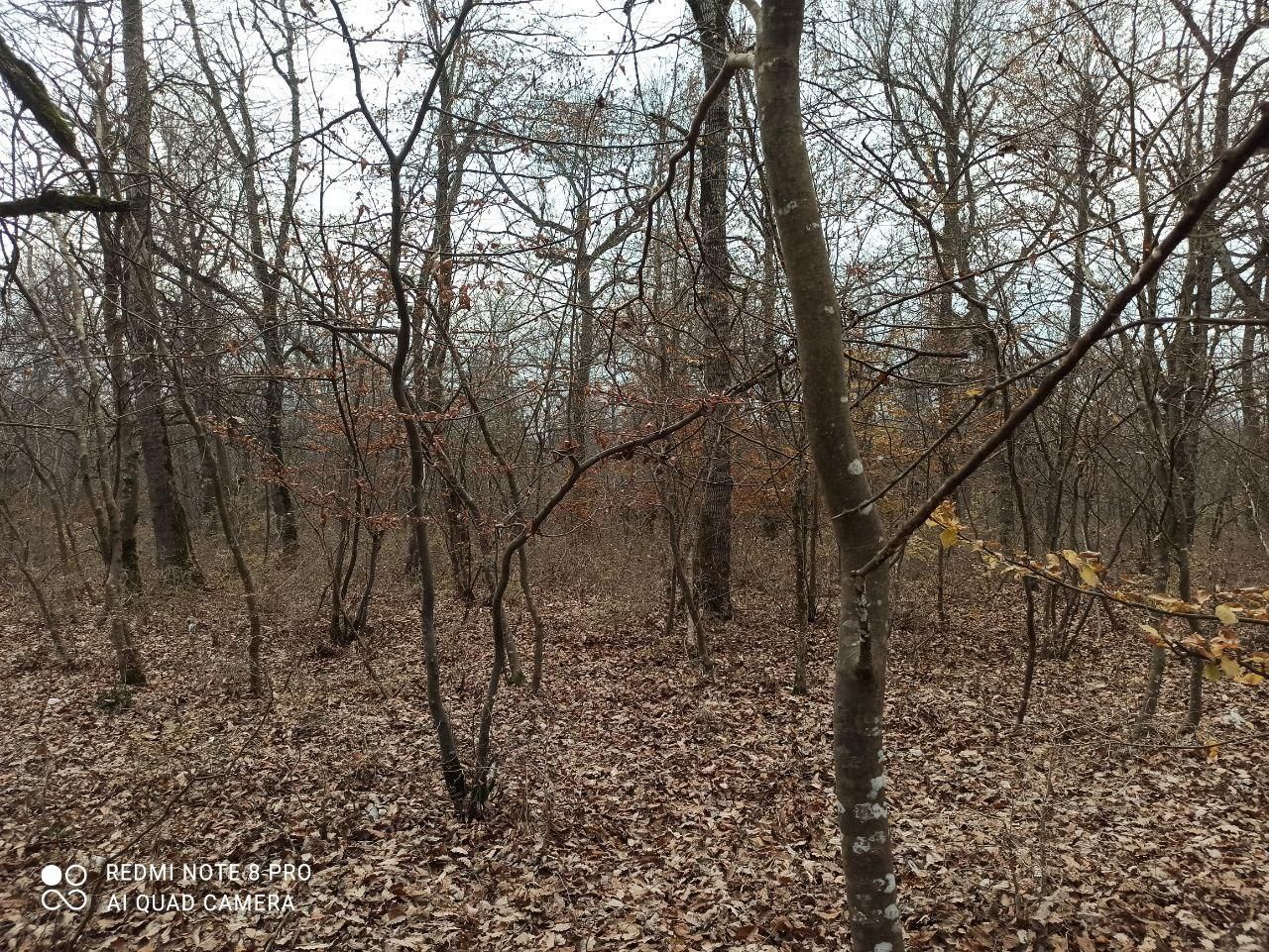 تور گردشگری|فعالیت داوطلبانه|نور, |دیوار