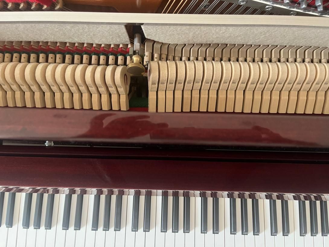 پیانو فروشی|پیانو، کیبورد، آکاردئون|مشهد, استاد یوسفی (شهرک غرب)|دیوار