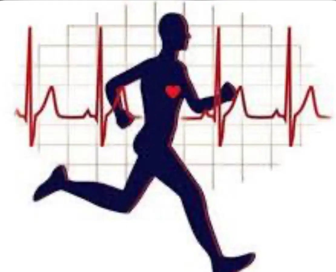 آموزش مربیگری بدنسازی برای آمادگی در آزمون|خدمات آموزشی|اراک, |دیوار