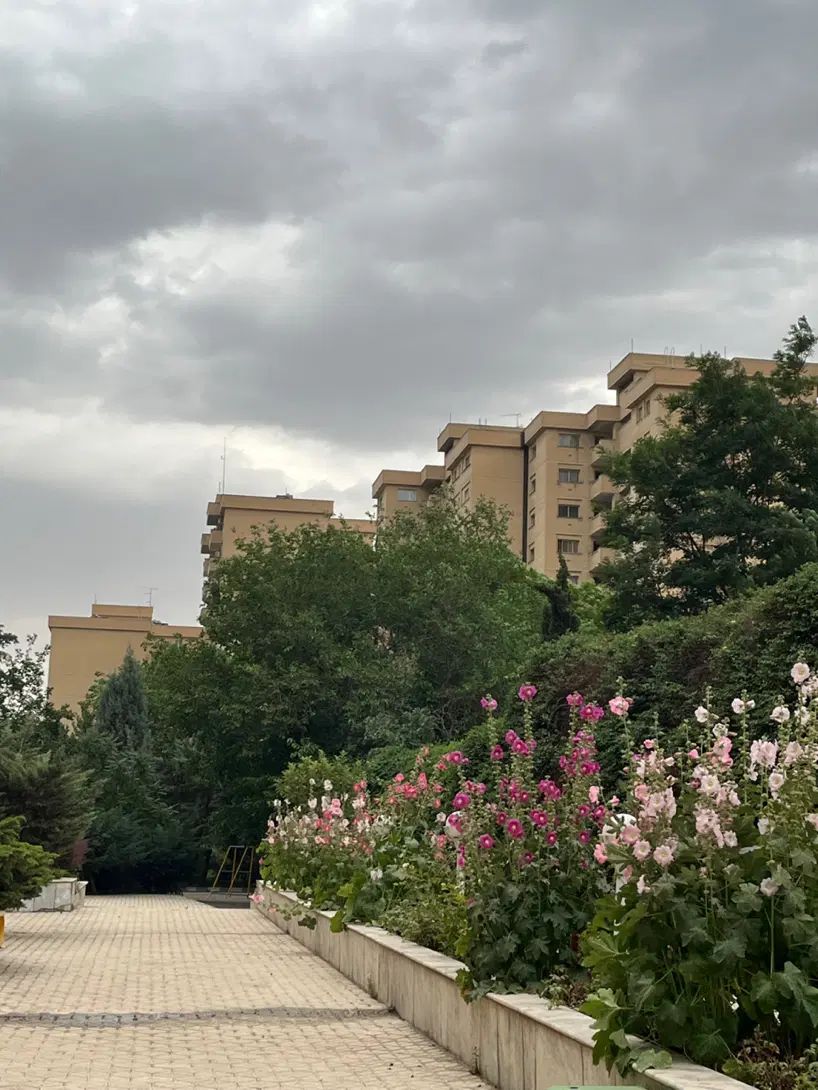 تصویر 2