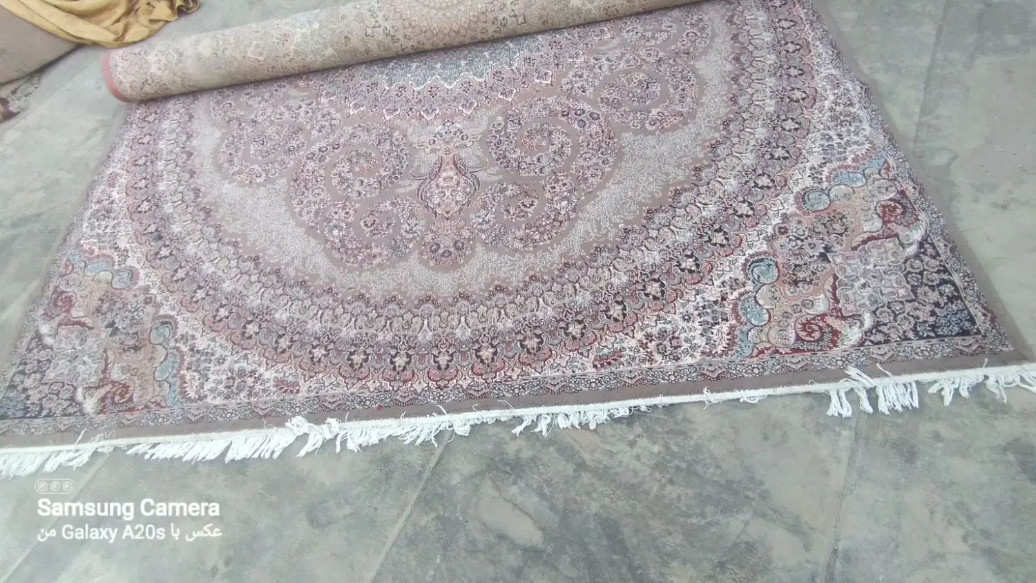 ۲عدد فرش گردیی۱۲ متری|فرش|مشهد, گرجی علیا|دیوار