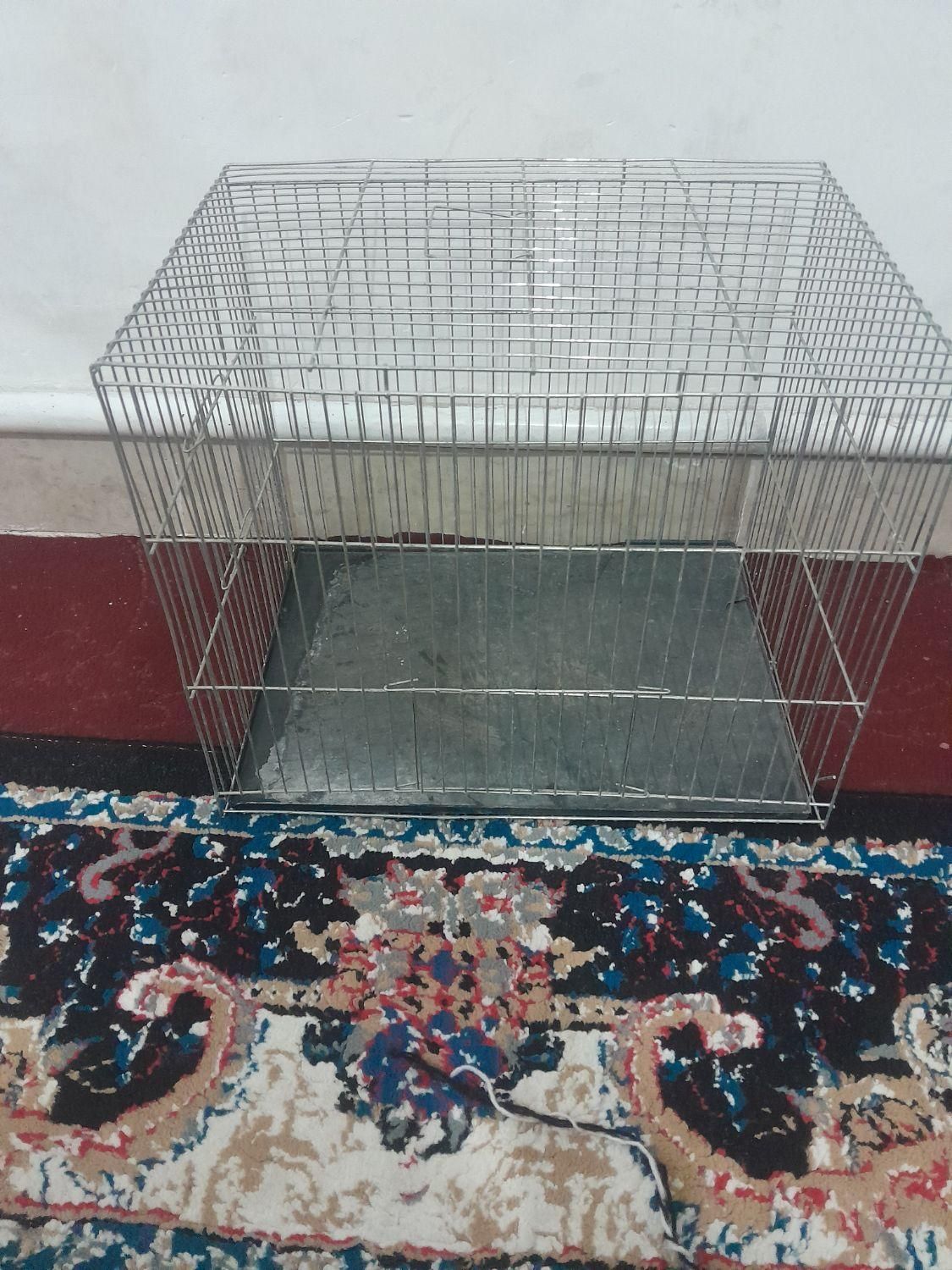 قفس پرنده|لوازم جانبی حیوانات|هشتگرد, هشتگرد قدیم|دیوار