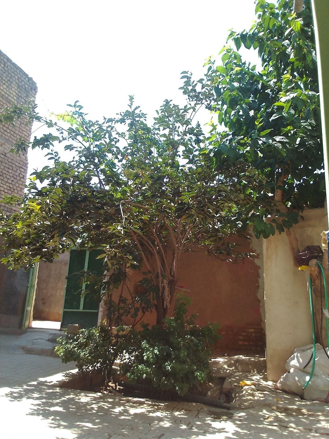 750 متر زمین واقع درصحرای سوخته زازران بفروش میرسد|فروش زمین و ملک کلنگی|اصفهان, تخت فولاد|دیوار