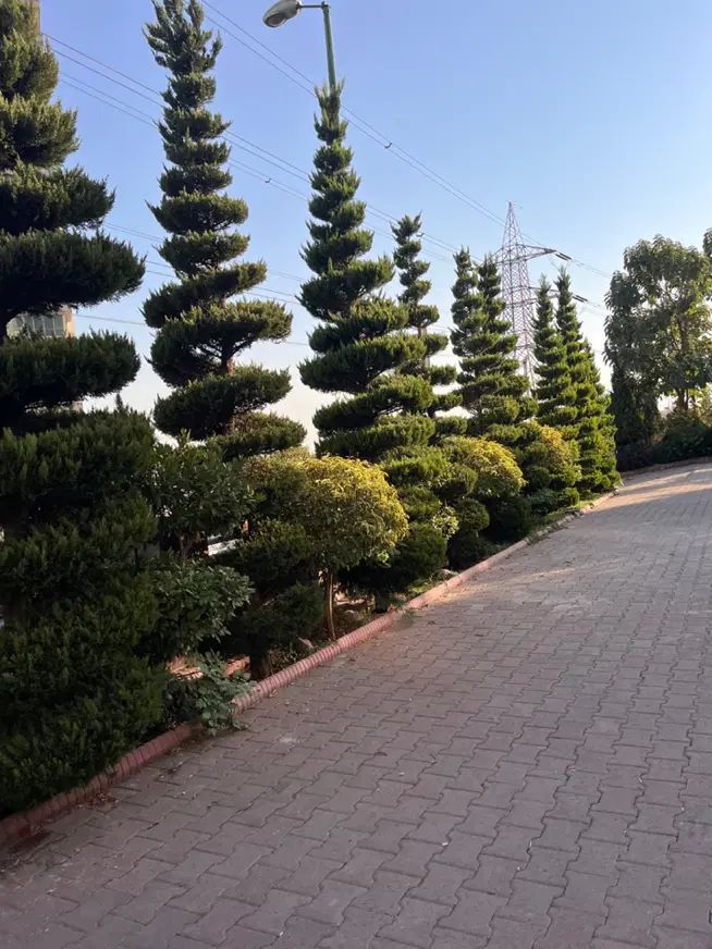اجاره اپارتمان سعادت اباد ۱۴۰ متر سه خواب|اجارهٔ آپارتمان|تهران, شهرک بوعلی|دیوار