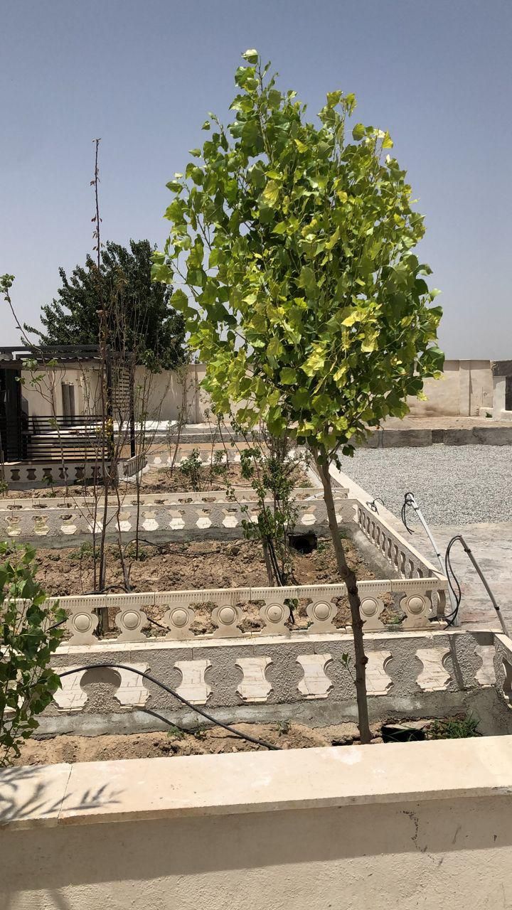 ۵۵۰ متر باغچه چهاریواری شهرک بنام و قدیمی در بکه|فروش خانه و ویلا|شهریار, بکه|دیوار