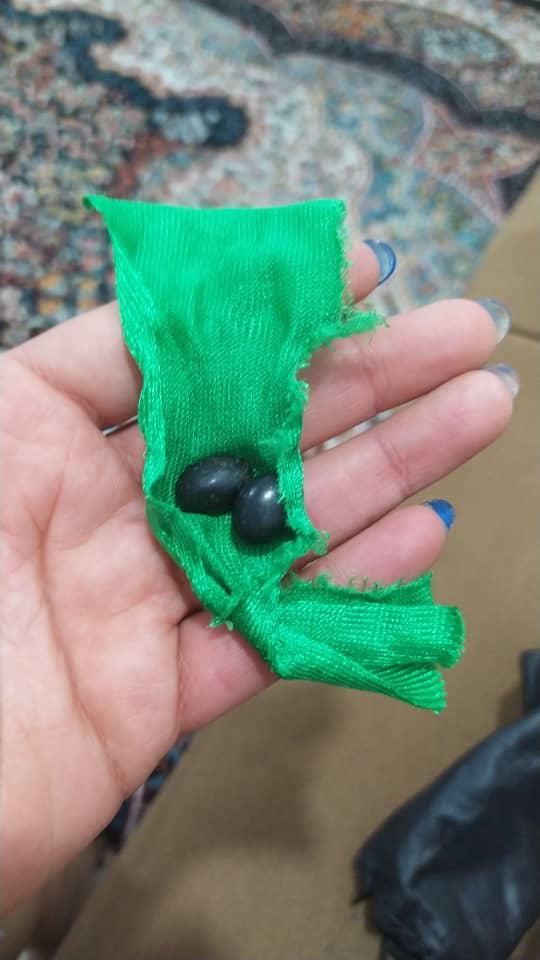 بهترین جفت مهره|جواهرات|بوشهر, |دیوار