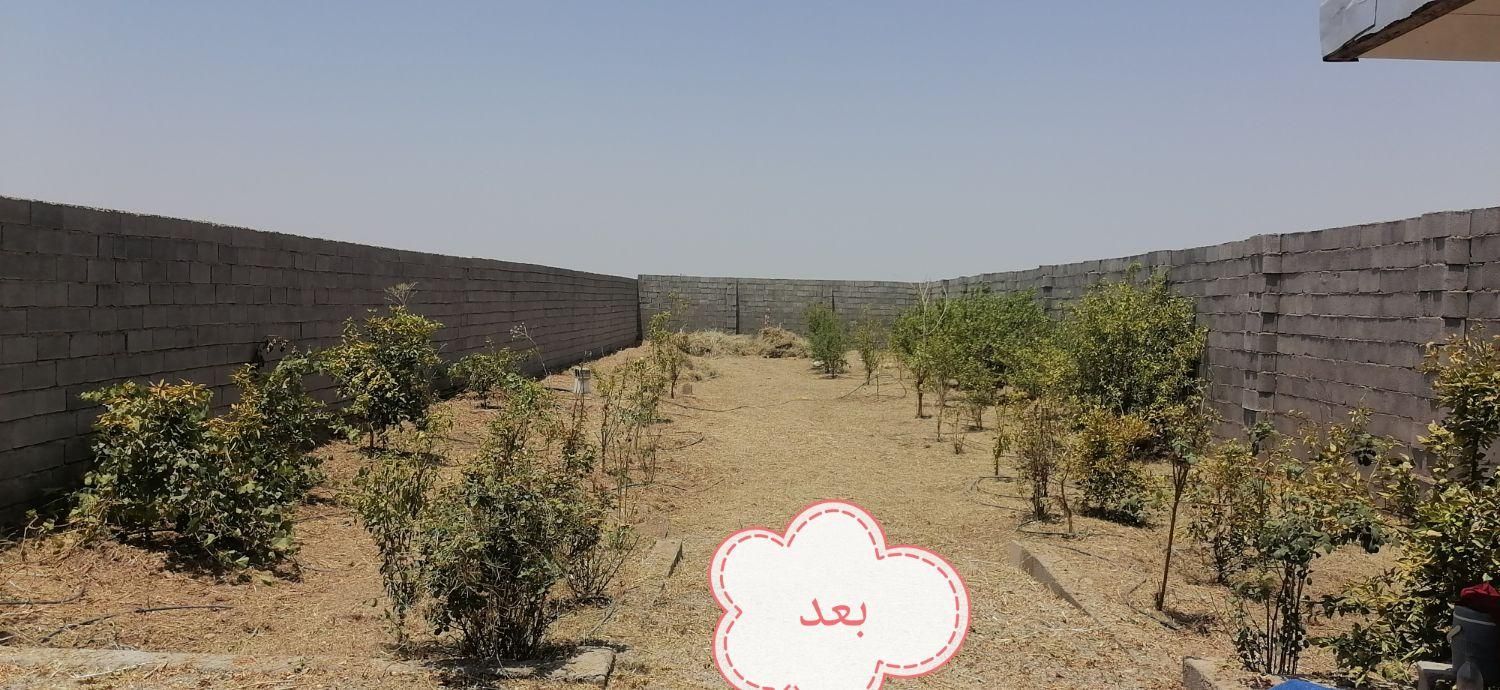 خدمات باغبانی وعلف زنی|خدمات باغبانی و درختکاری|دزفول, |دیوار