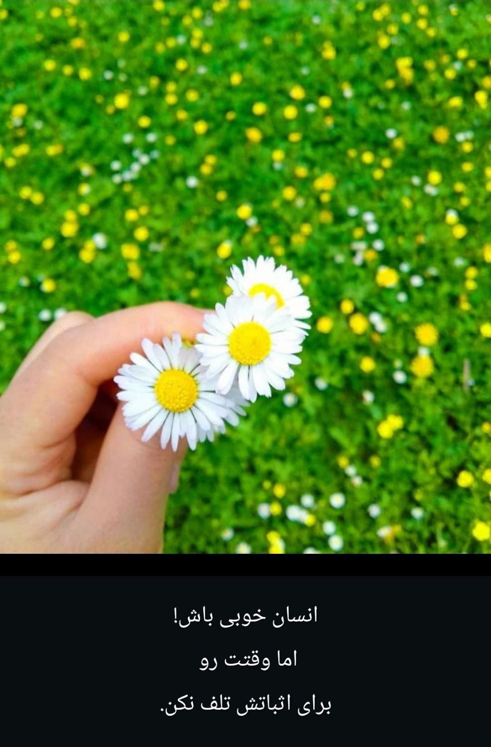 کارت ملی به اسم مرادی گمشده|اشیا|ایذه, |دیوار