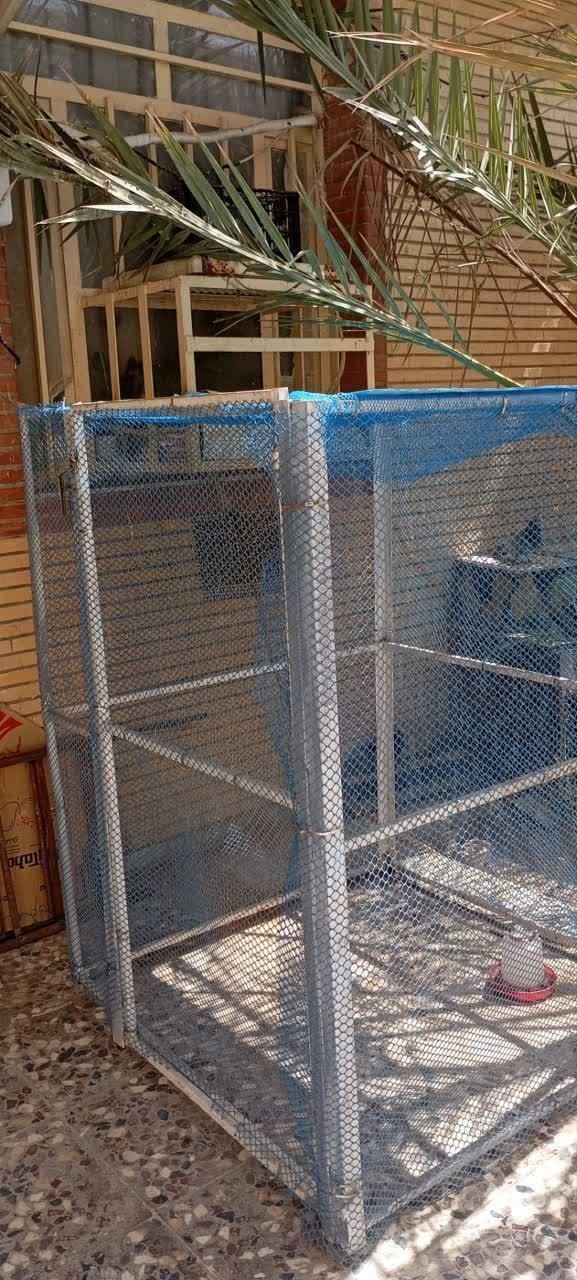 قفس|لوازم جانبی حیوانات|خورموج, |دیوار