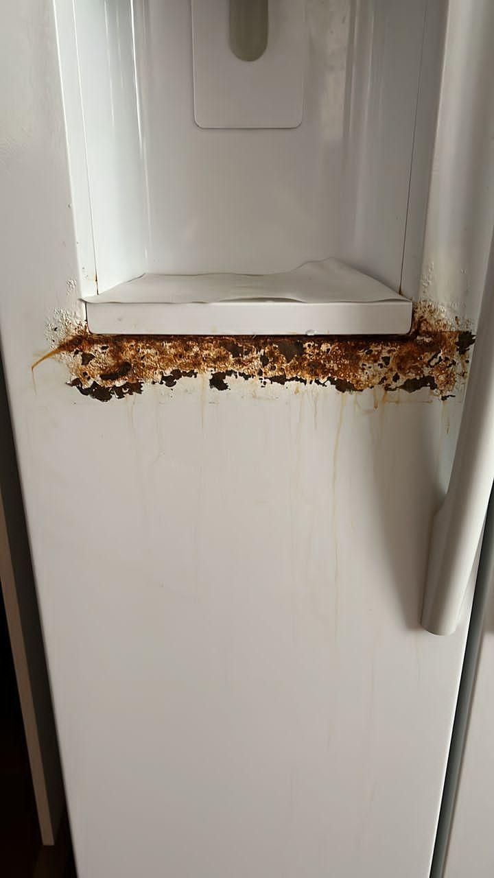 رنگ کردن یخچال وست لوازم منزل|خدمات پیشه و مهارت|قرچک, شهرک طلائیه|دیوار