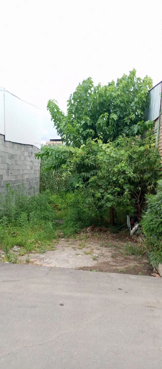 فروش زمین ۶۰ متری در جماران|فروش زمین و ملک کلنگی|رشت, جماران|دیوار