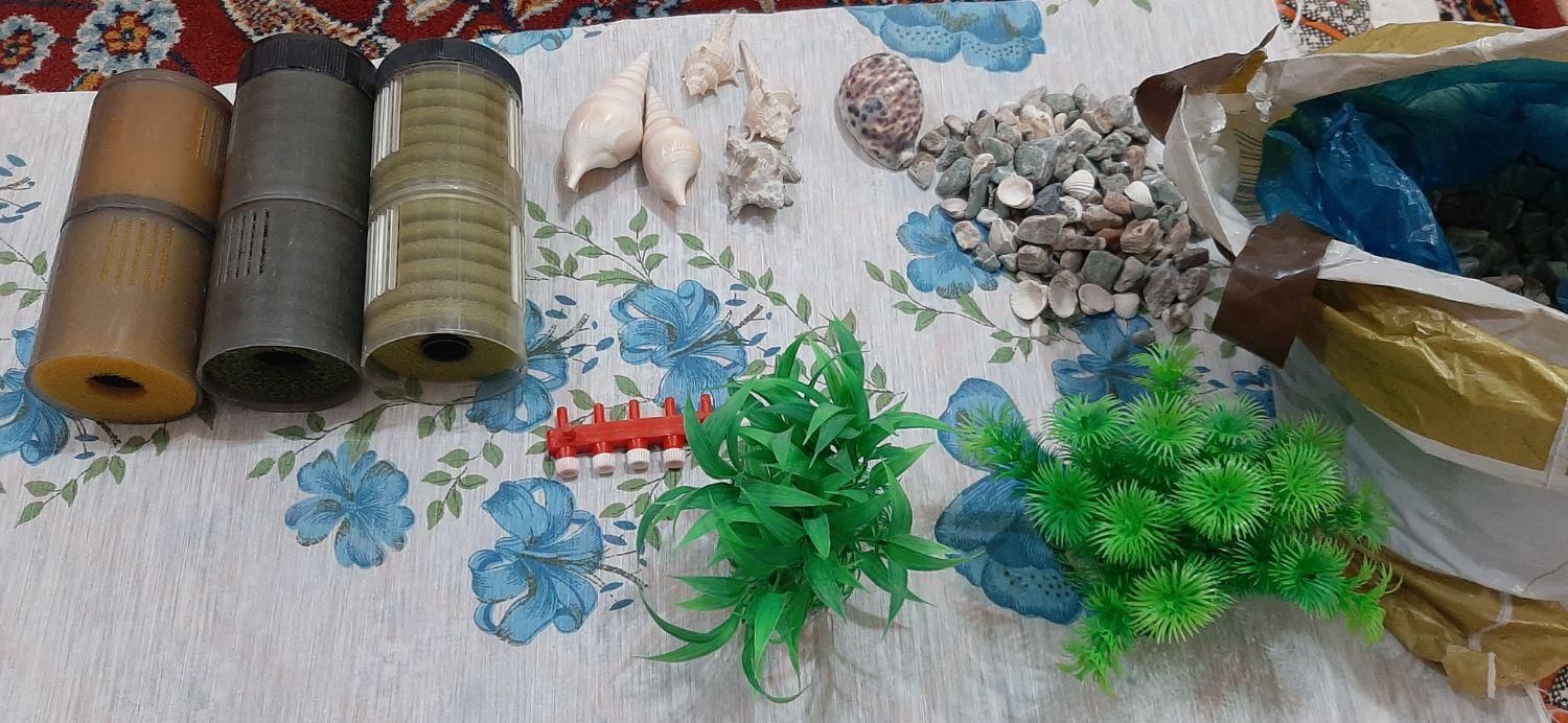 لوازم آکواریوم|ماهی|سوسنگرد, |دیوار